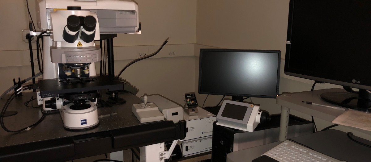 Confocal Rig
